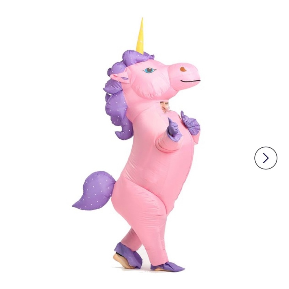 Kids Inflatable unicorn costume.